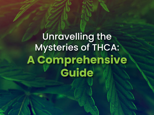 Unpack Cannabinoid Facts: Is THCA the New CBD?