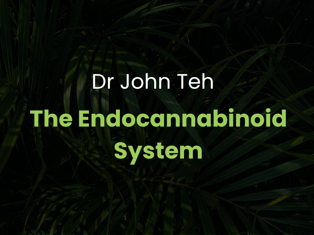Dr John Teh - The Endocannabinoid System