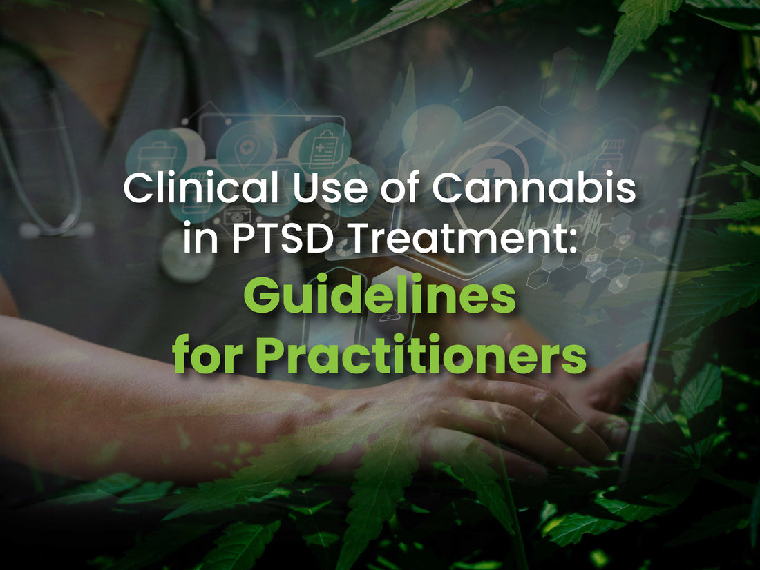 Guidelines for Using Cannabis for PTSD Treatment