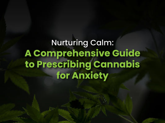 Tranquill Prescriptions: Cannabis for Anxiety Relief