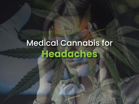 Medical Cannabis for Headaches Disorders: Therapeutic Disorders