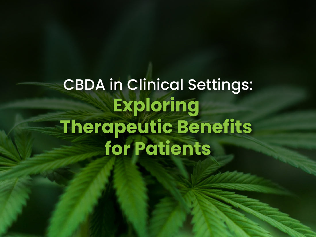 CBDA in Clinical Settings: Exploring Therapeutic Benefits for Patients