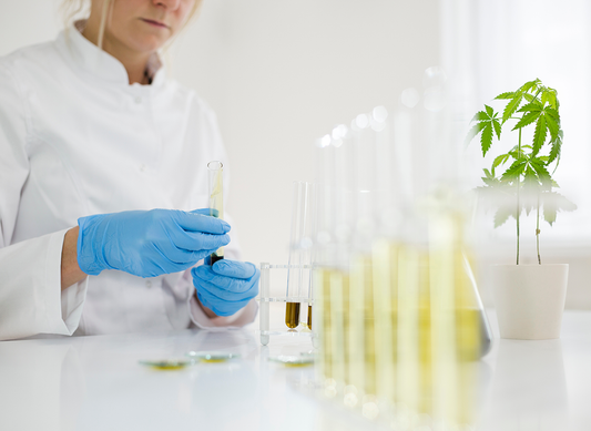 Whole Plant vs Isolate: Does it matter?